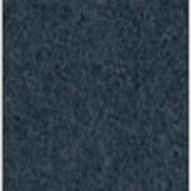 Focus_col_66011.jpg